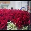 mariel_behagan